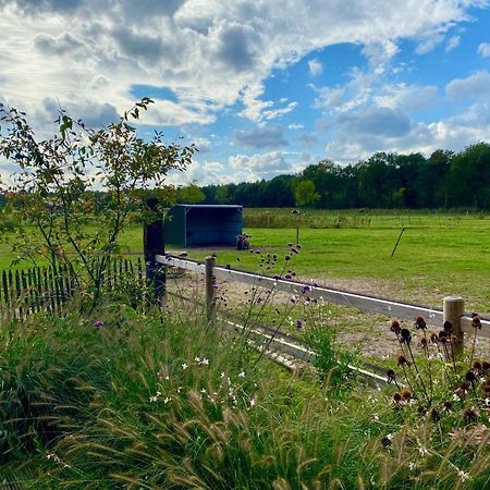 Luxe Finse Kota Van De Zandhoef Eersel Esterno foto